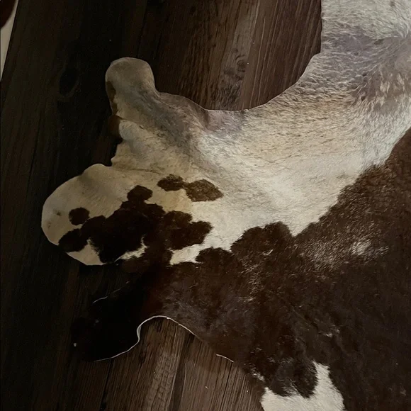 Authentic Cowhide Rug in Brown, Black, and White - Picture 3 of 8